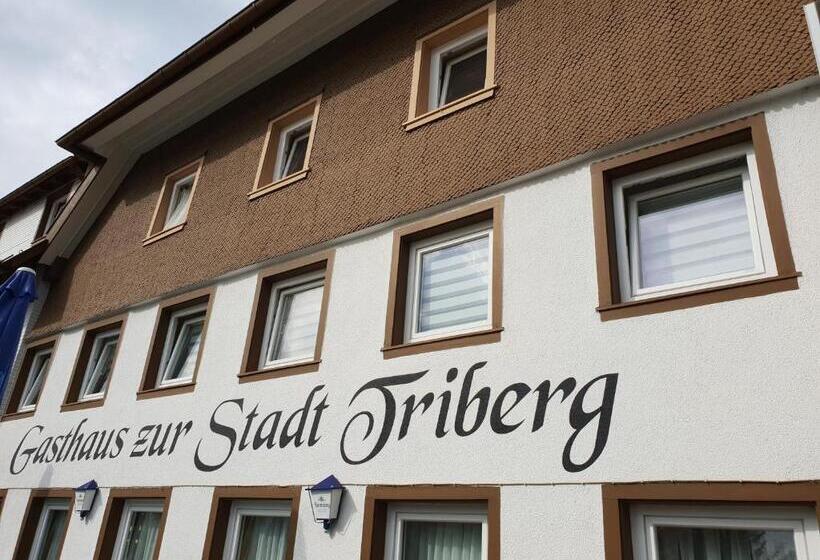هاستل Gasthaus Zur Stadt Triberg