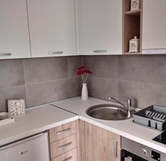 Apartman Nana Svetogorska 19 ,stan 17