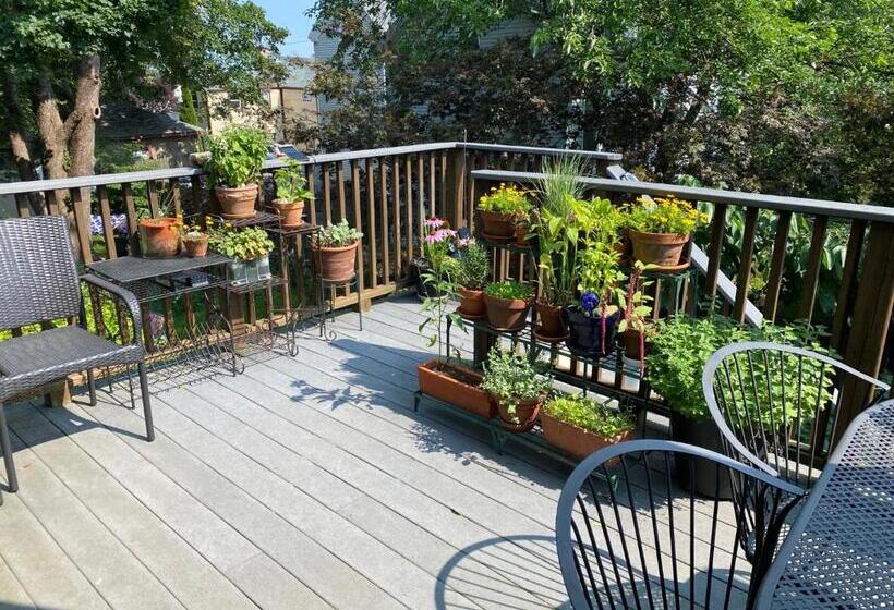 Bed and Breakfast Northey Street House