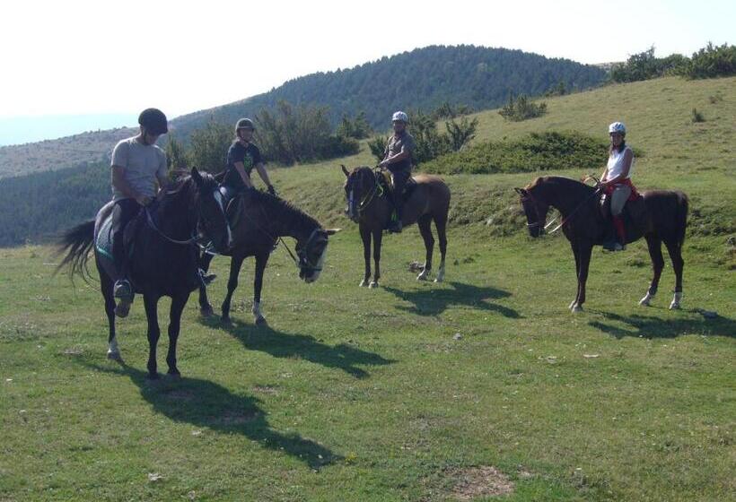 بنسيون Casa Masover