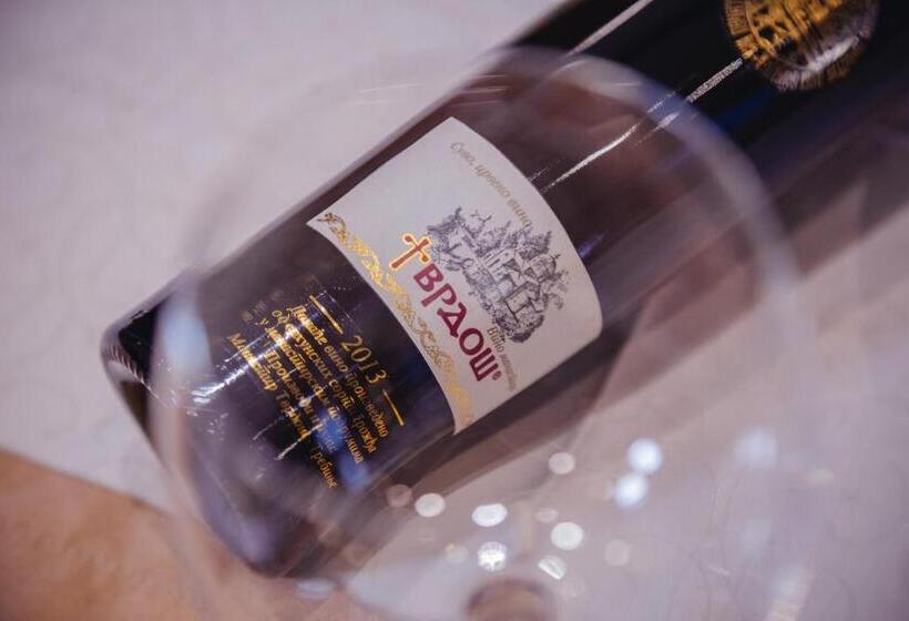 پانسیون Stari Slon