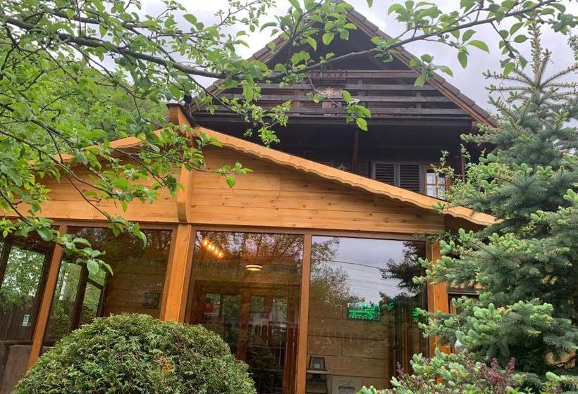 ペンション Chalet Milenium Residence Bran