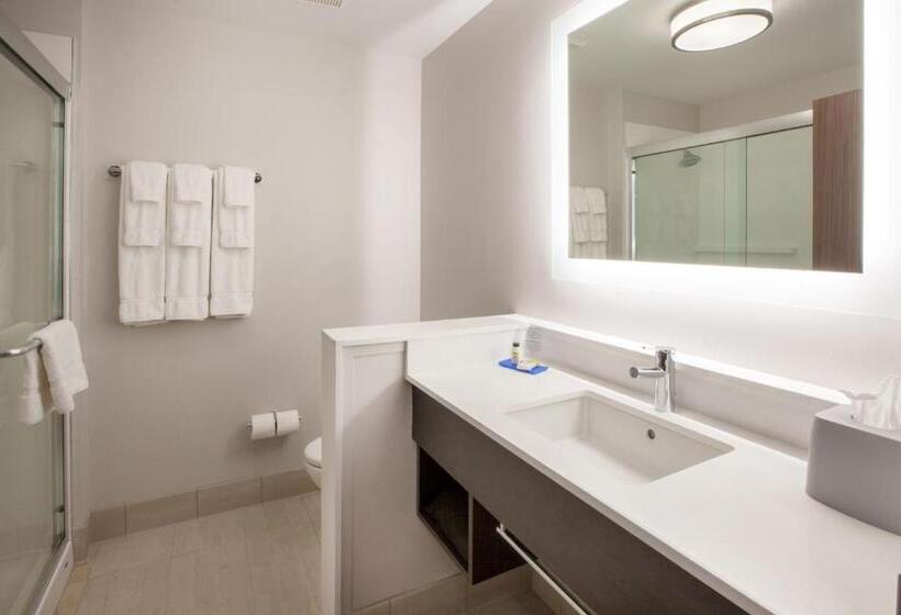 هتل Holiday Inn Express & Suites   Harrisburg S   Mechanicsburg, An Ihg