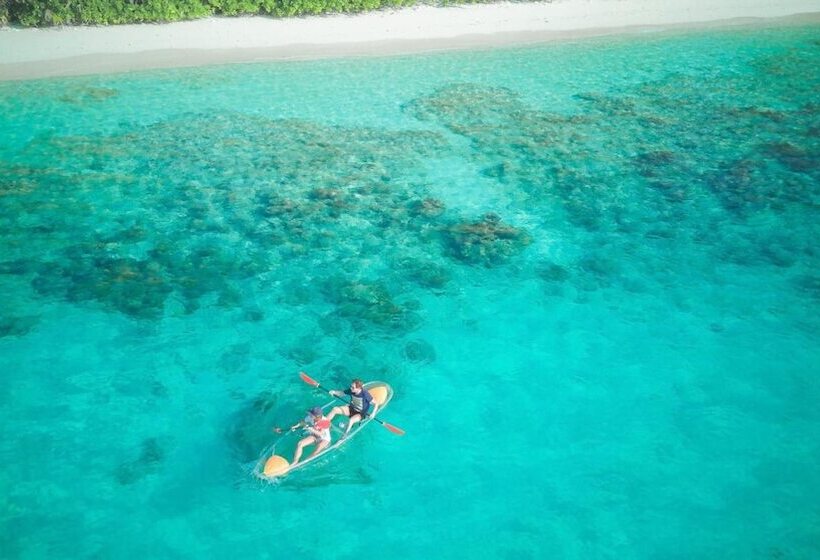 پانسیون Dhiguveli Maldives