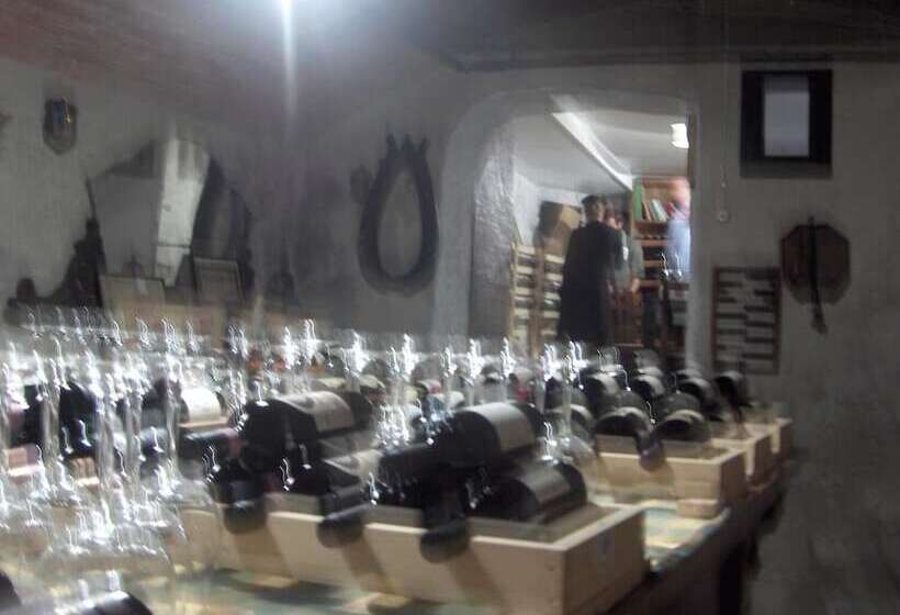 酒店 Albergo Centrale