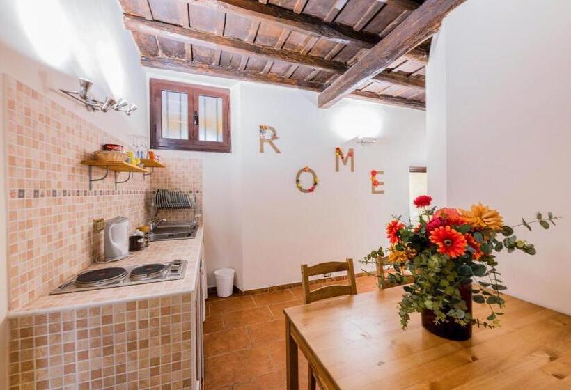 Fotos del hotel Anfiteatro Flavio:  24