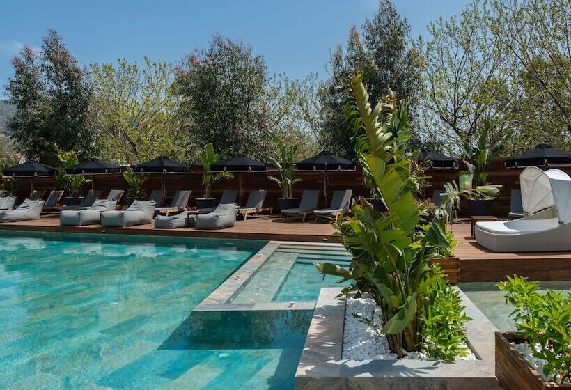 Bitzaro Palace Hotel   All Inclusive