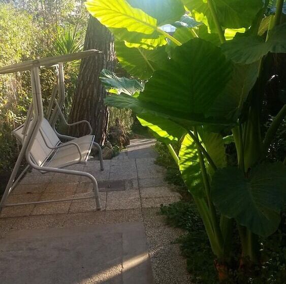 Fotos del hotel Desiderio:  22