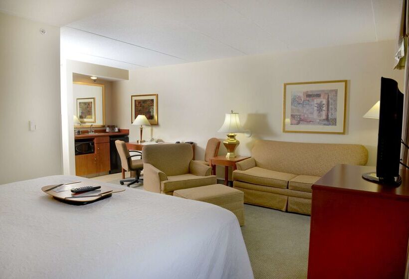 هتل Hampton Inn & Suites By Hilton Windsor