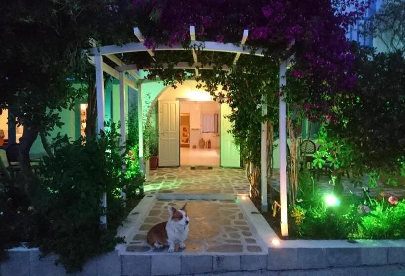هتل Panorama Paros