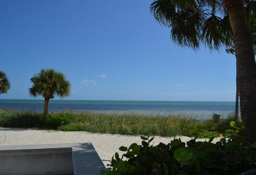 فندق 1800 Atlantic Suites