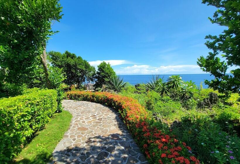 酒店 Kawayan Holiday Resort