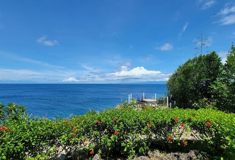 酒店 Kawayan Holiday Resort