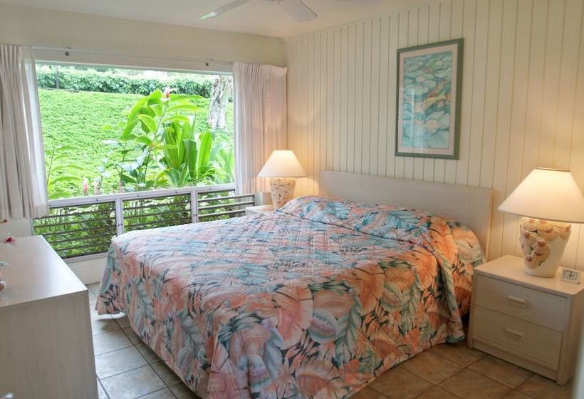 Castle At Princeville