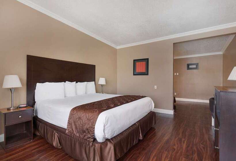 Hotel Americas Best Value Inn & Suites Anaheim Convention Center