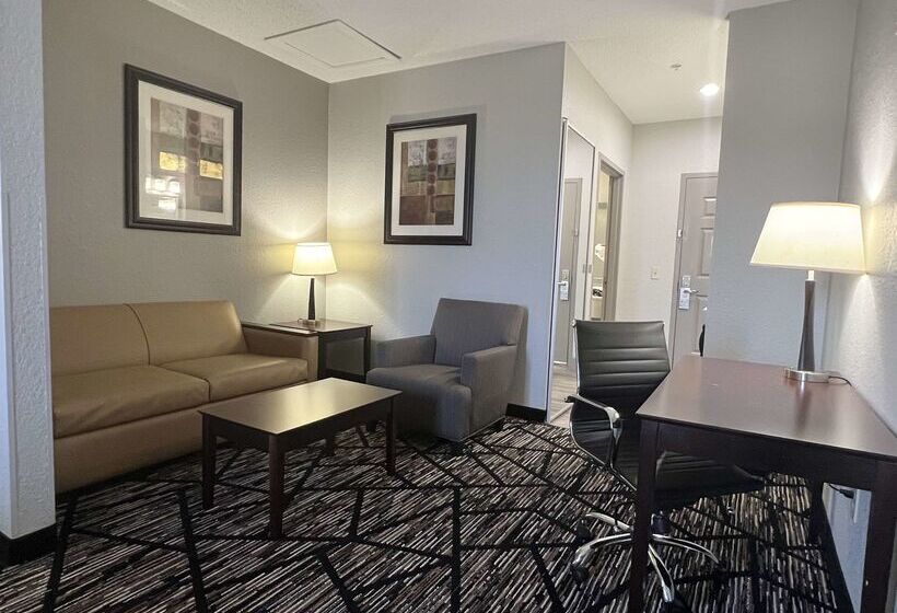 هتل Best Western Plus Hobby Airport Inn And Suites