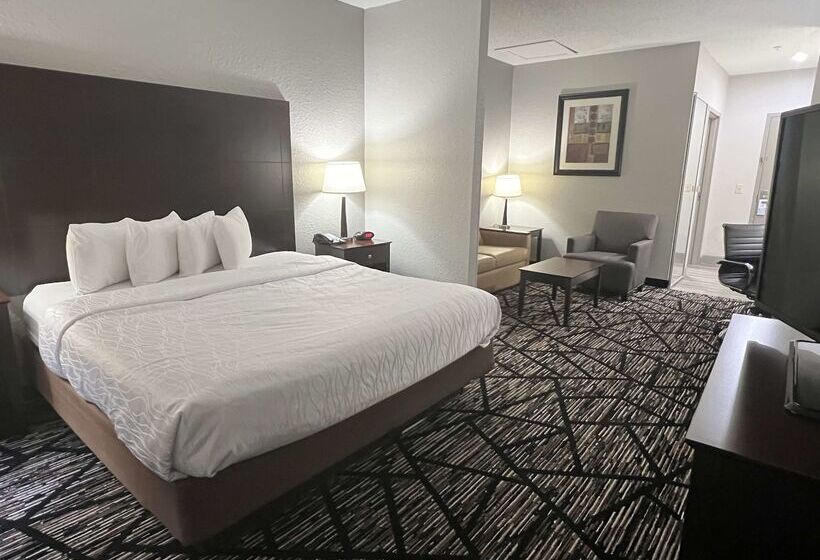 Best Western Plus Hobby Airport Inn And Suites