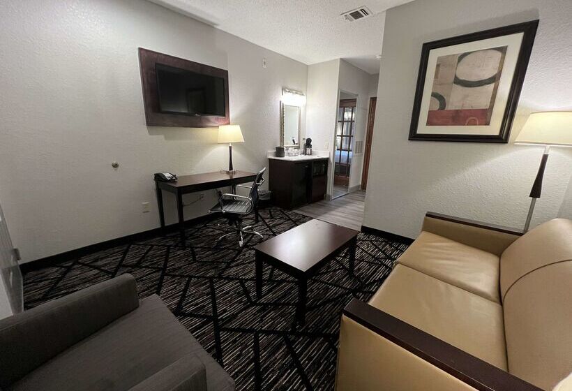 Fotos del hotel Best Western Plus Hobby Airport Inn And Suites:  26