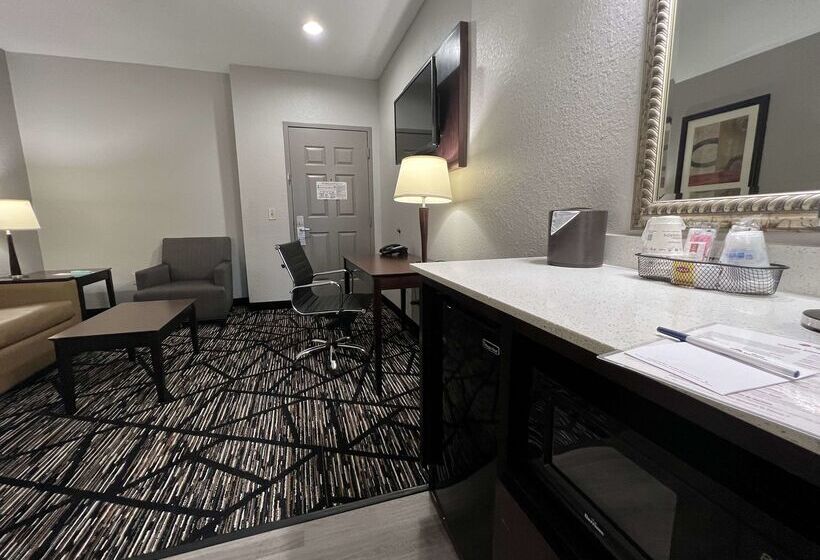 Fotos del hotel Best Western Plus Hobby Airport Inn And Suites:  25