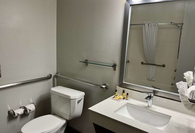 Fotos del hotel Best Western Plus Hobby Airport Inn And Suites:  16