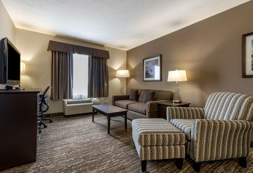 酒店 Best Western Plus Pembina Inn And Suites