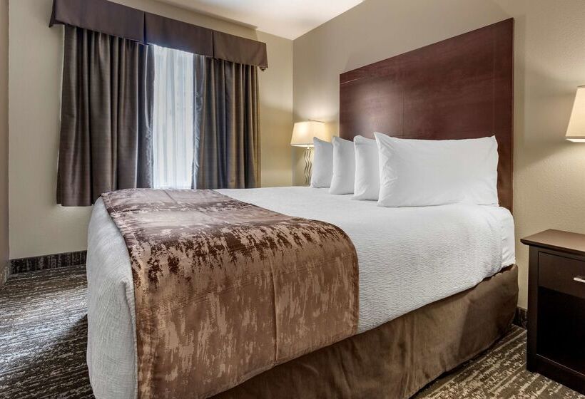 Hotel Best Western Plus Pembina Inn And Suites