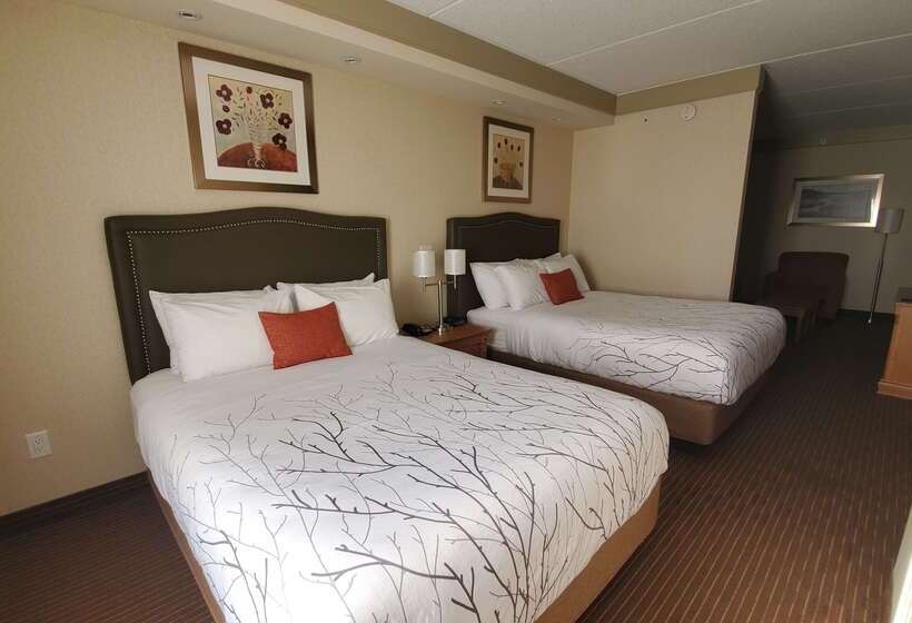 ホテル Waterloo Suites