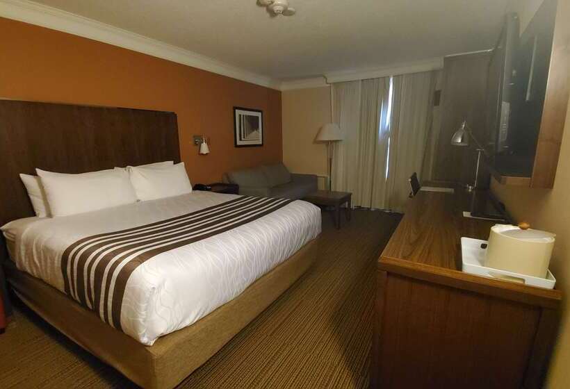 ホテル Waterloo Suites