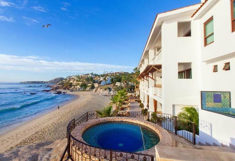 هتل Cabo Surf
