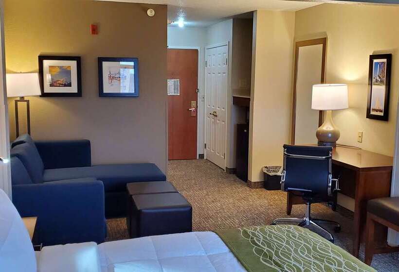 هتل Comfort Inn & Suites Decatur Forsyth