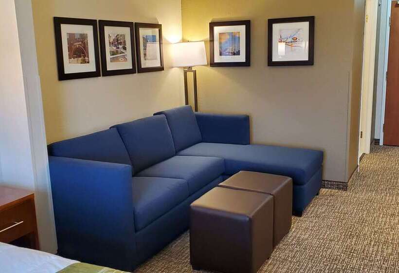 هتل Comfort Inn & Suites Decatur Forsyth