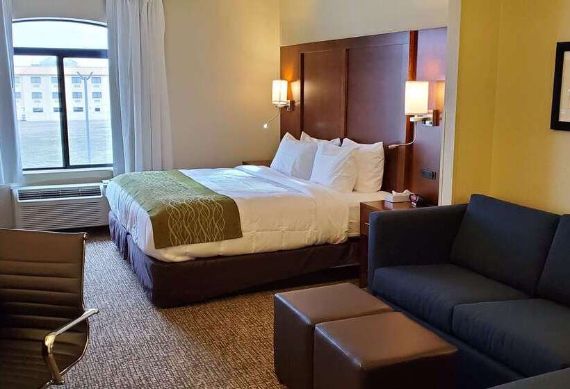 هتل Comfort Inn & Suites Decatur Forsyth