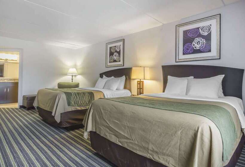 هتل Comfort Inn & Suites
