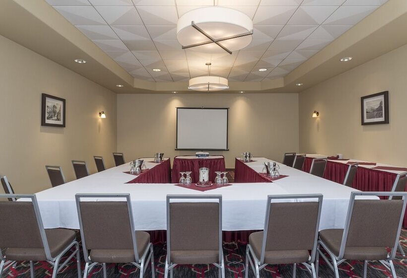 בית מלון כפרי Four Points By Sheraton Edmonton South