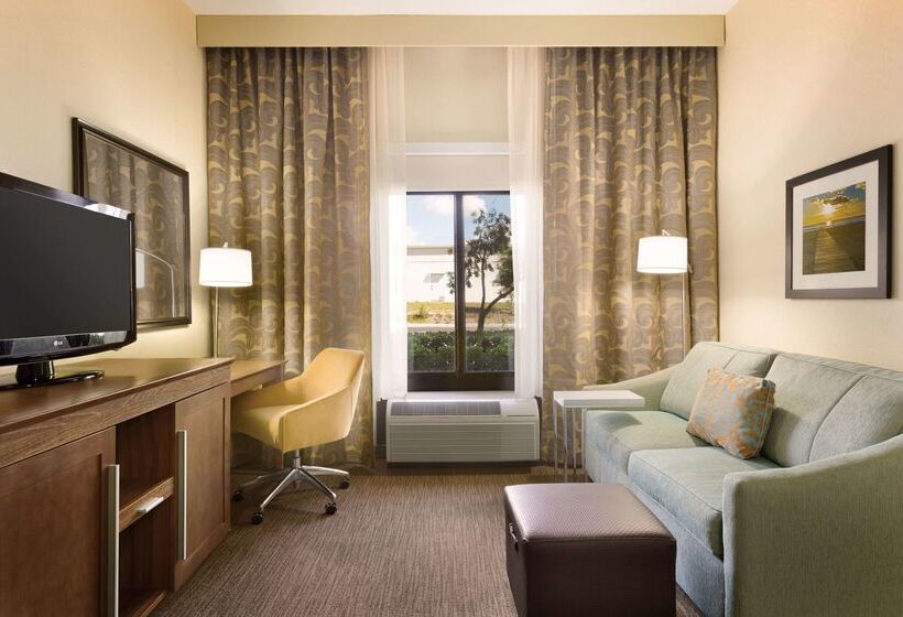 فندق Hampton Inn & Suites Tarpon Springs