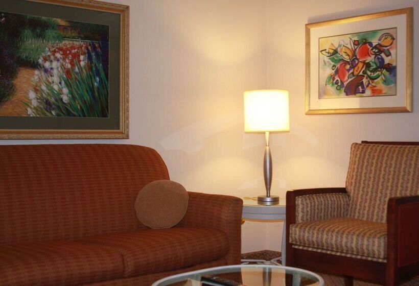 هتل Hilton Garden Inn Elmira Corning