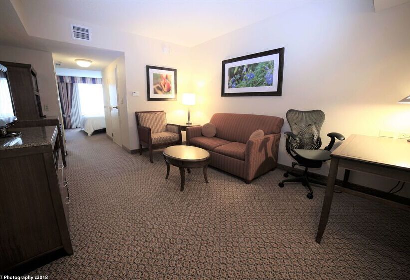 هتل Hilton Garden Inn Elmira Corning