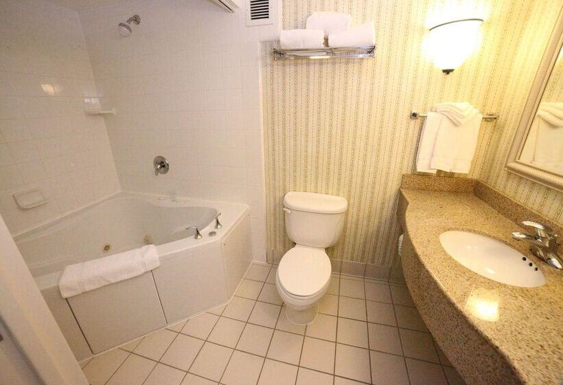 هتل Hilton Garden Inn Elmira Corning