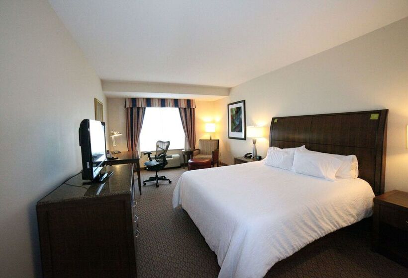 هتل Hilton Garden Inn Elmira Corning