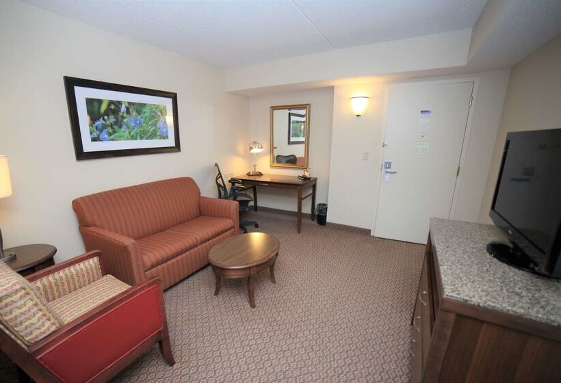 Hotel Hilton Garden Inn Elmira Corning