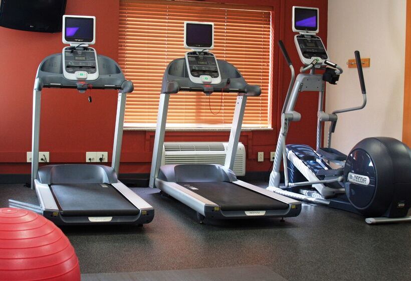 هتل Hilton Garden Inn Elmira Corning
