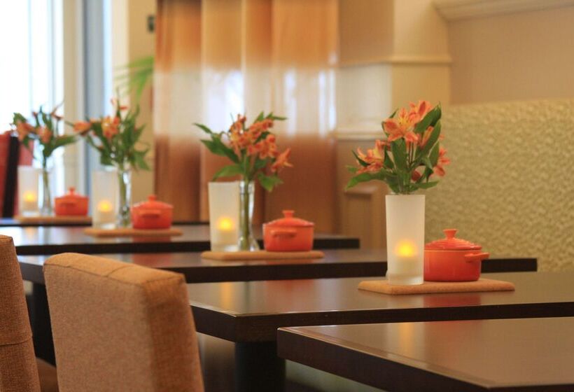 هتل Hilton Garden Inn Elmira Corning