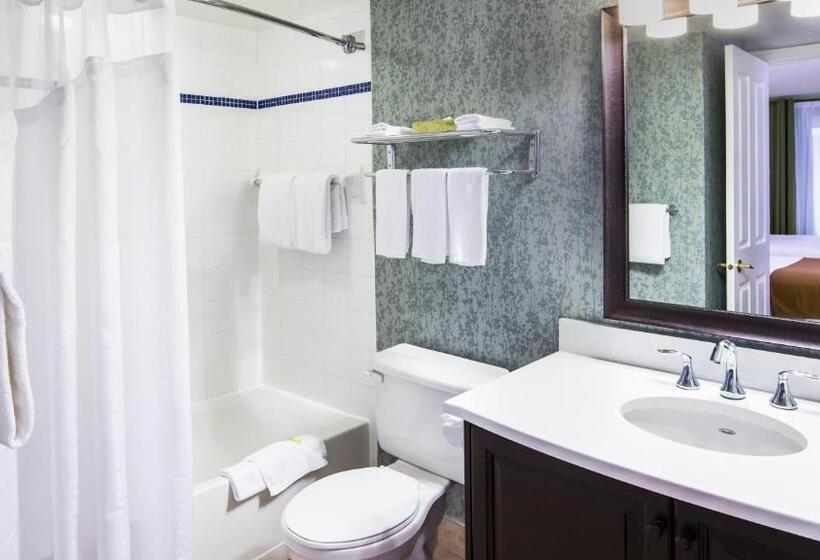 هتل Holiday Inn Express & Suites Tremblant, An Ihg