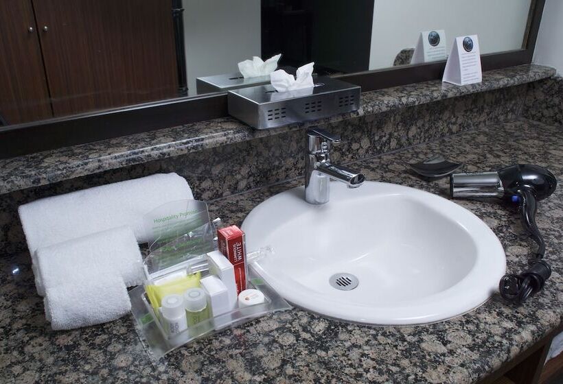 هتل Holiday Inn Mexico City   Trade Center, An Ihg