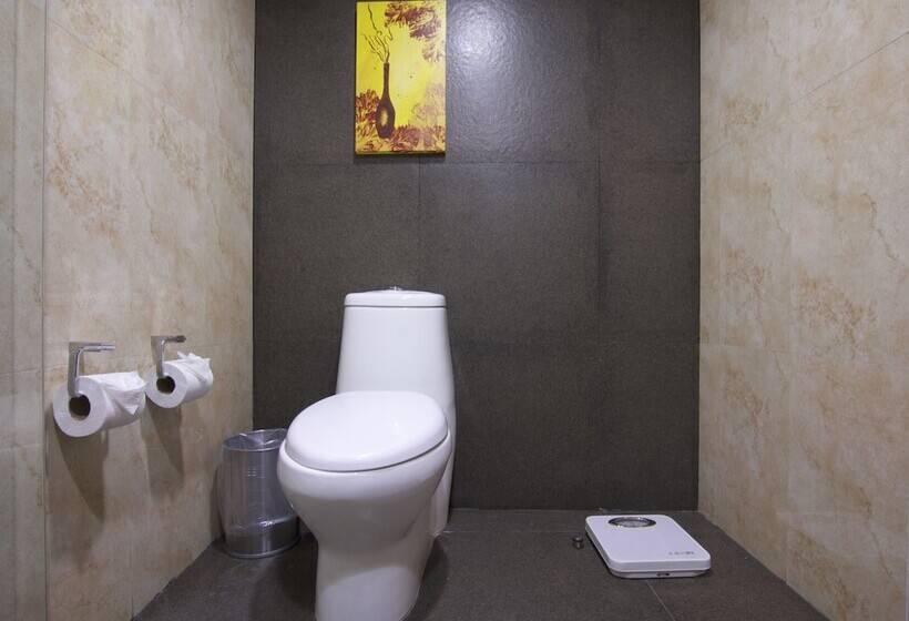 هتل Holiday Inn Mexico City   Trade Center, An Ihg