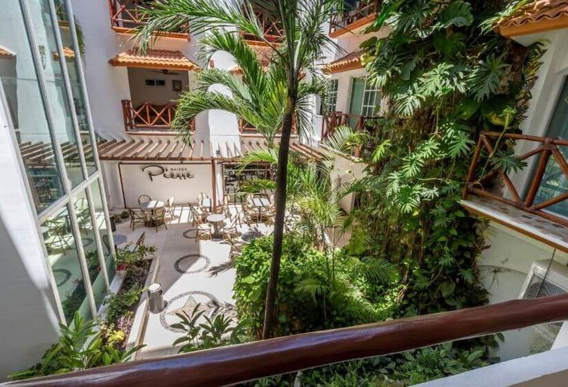 Fotos del hotel Illusion Boutique Hotel By Xperience Hotels:  40