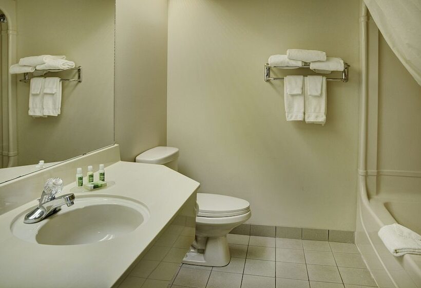 בית מלון כפרי Lakeview Inns & Suites  Brandon