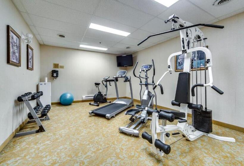 هتل Monte Carlo Inn Brampton