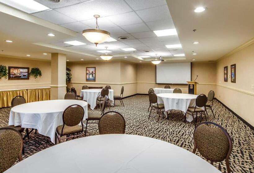 هتل Monte Carlo Inn Brampton