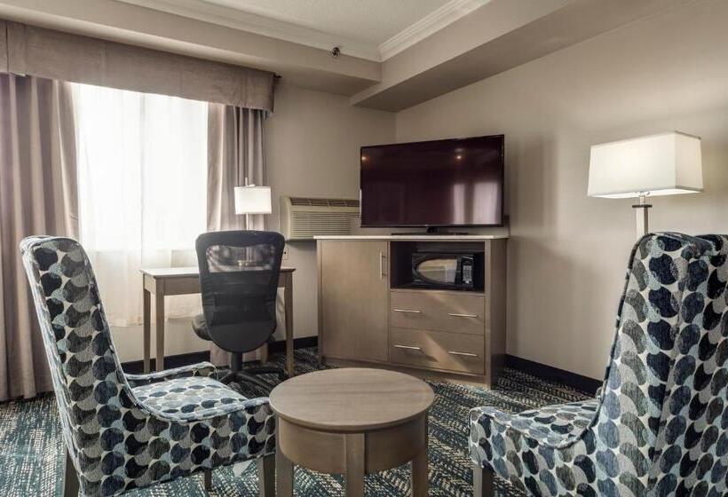 هتل Monte Carlo Inn Brampton